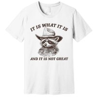 It Is What It Is And It Is Not Great Funny Raccoon Sarcastic Premium T-Shirt