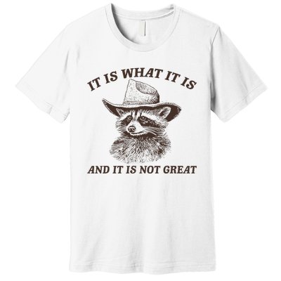 It Is What It Is And It Is Not Great Funny Raccoon Sarcastic Premium T-Shirt