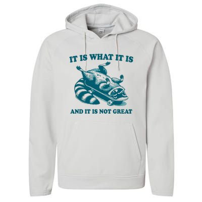 It Is What It Is And It Is Not Great Performance Fleece Hoodie