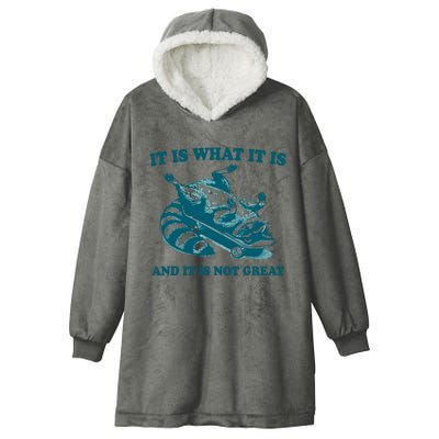 It Is What It Is And It Is Not Great Hooded Wearable Blanket