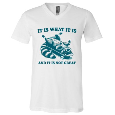 It Is What It Is And It Is Not Great V-Neck T-Shirt