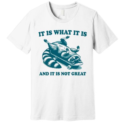 It Is What It Is And It Is Not Great Premium T-Shirt