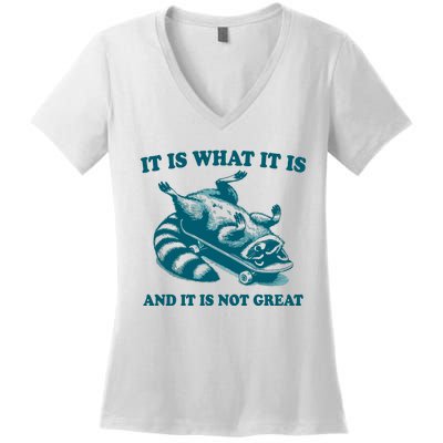 It Is What It Is And It Is Not Great Women's V-Neck T-Shirt