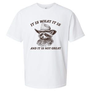 It Is What It Is And It Is Not Great Raccoon Sueded Cloud Jersey T-Shirt