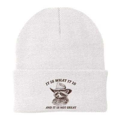 It Is What It Is And It Is Not Great Raccoon Knit Cap Winter Beanie