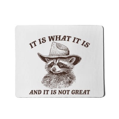 It Is What It Is And It Is Not Great Raccoon Mousepad