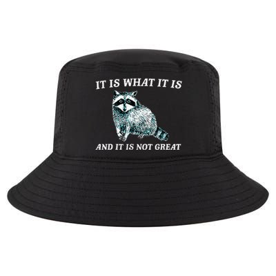 It Is What It Is And It Is Not Great Raccoon Cool Comfort Performance Bucket Hat