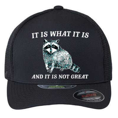 It Is What It Is And It Is Not Great Raccoon Flexfit Unipanel Trucker Cap