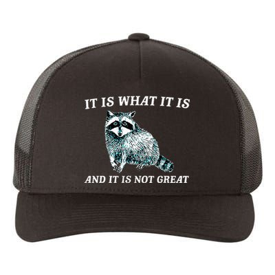 It Is What It Is And It Is Not Great Raccoon Yupoong Adult 5-Panel Trucker Hat