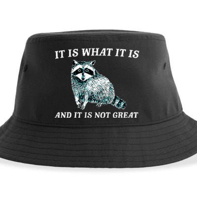 It Is What It Is And It Is Not Great Raccoon Sustainable Bucket Hat