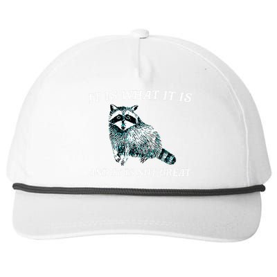 It Is What It Is And It Is Not Great Raccoon Snapback Five-Panel Rope Hat