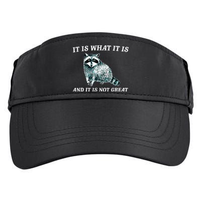 It Is What It Is And It Is Not Great Raccoon Adult Drive Performance Visor