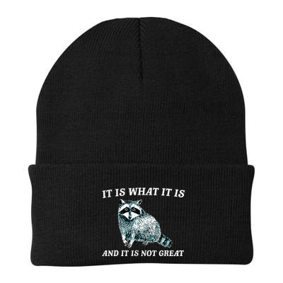 It Is What It Is And It Is Not Great Raccoon Knit Cap Winter Beanie