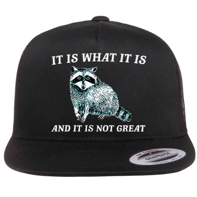 It Is What It Is And It Is Not Great Raccoon Flat Bill Trucker Hat