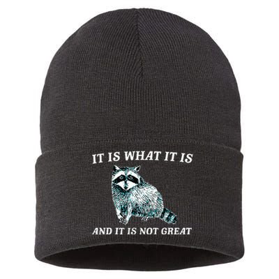 It Is What It Is And It Is Not Great Raccoon Sustainable Knit Beanie