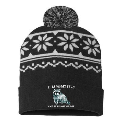 It Is What It Is And It Is Not Great Raccoon USA-Made Snowflake Beanie