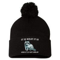 It Is What It Is And It Is Not Great Raccoon Pom Pom 12in Knit Beanie