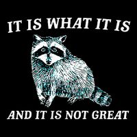It Is What It Is And It Is Not Great Raccoon Baby Bodysuit
