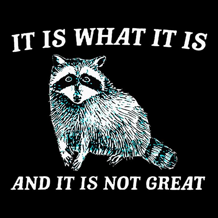 It Is What It Is And It Is Not Great Raccoon Baby Bodysuit