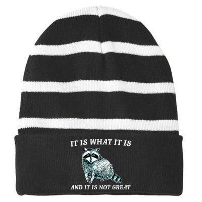 It Is What It Is And It Is Not Great Raccoon Striped Beanie with Solid Band