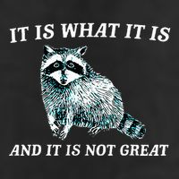It Is What It Is And It Is Not Great Raccoon Trucker Hat
