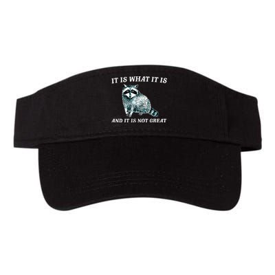 It Is What It Is And It Is Not Great Raccoon Valucap Bio-Washed Visor