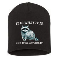 It Is What It Is And It Is Not Great Raccoon Short Acrylic Beanie