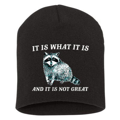 It Is What It Is And It Is Not Great Raccoon Short Acrylic Beanie