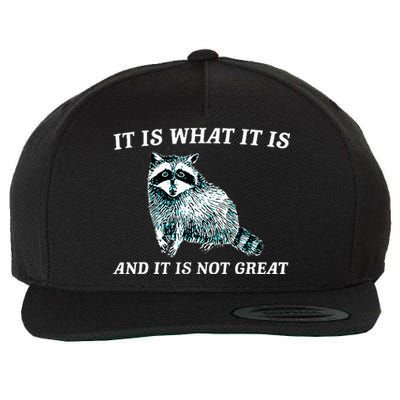 It Is What It Is And It Is Not Great Raccoon Wool Snapback Cap