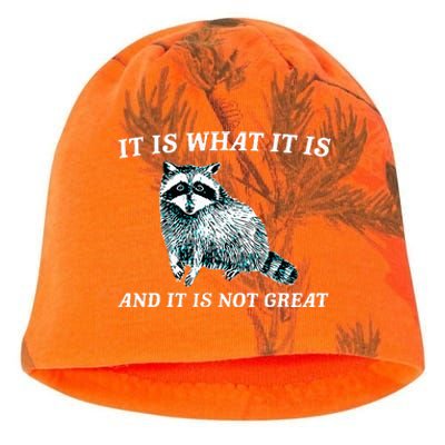 It Is What It Is And It Is Not Great Raccoon Kati - Camo Knit Beanie