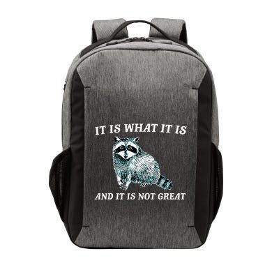 It Is What It Is And It Is Not Great Raccoon Vector Backpack