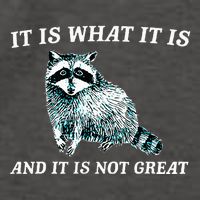 It Is What It Is And It Is Not Great Raccoon Vector Backpack