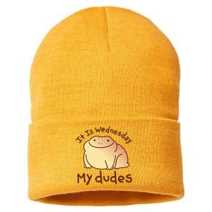 It Is Wednesday My Dudes Frog Funny Sustainable Knit Beanie