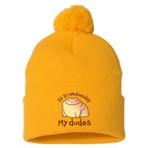 It Is Wednesday My Dudes Frog Funny Pom Pom 12in Knit Beanie