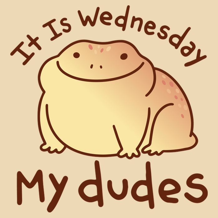 It Is Wednesday My Dudes Frog Funny Zip Tote Bag