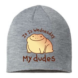 It Is Wednesday My Dudes Frog Funny Sustainable Beanie