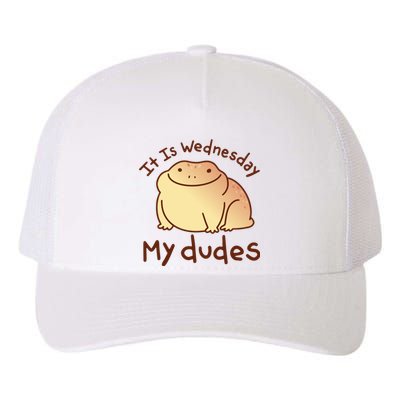 It Is Wednesday My Dudes Frog Funny Yupoong Adult 5-Panel Trucker Hat