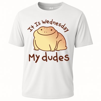 It Is Wednesday My Dudes Frog Funny Performance Shirt