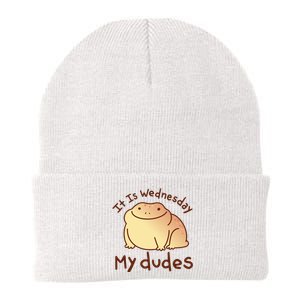 It Is Wednesday My Dudes Frog Funny Knit Cap Winter Beanie