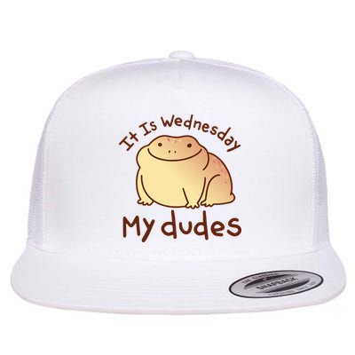 It Is Wednesday My Dudes Frog Funny Flatbill Hat