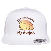 It Is Wednesday My Dudes Frog Funny Flat Bill Trucker Hat