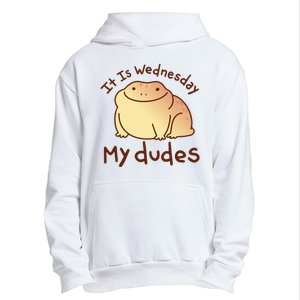 It Is Wednesday My Dudes Frog Funny Urban Pullover Hoodie