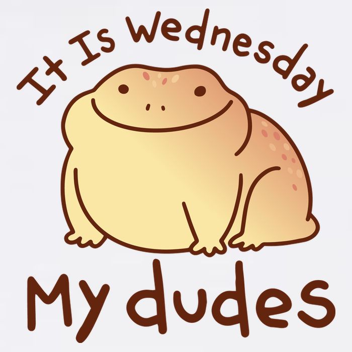 It Is Wednesday My Dudes Frog Funny Premium T-Shirt