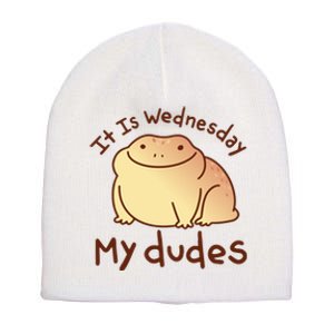 It Is Wednesday My Dudes Frog Funny Short Acrylic Beanie