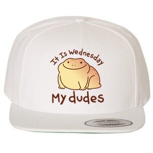 It Is Wednesday My Dudes Frog Funny Wool Snapback Cap