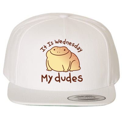 It Is Wednesday My Dudes Frog Funny Wool Snapback Cap