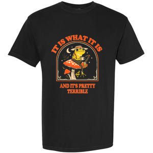 It Is What It Is And ItS Pretty Terrible Funny Design Garment-Dyed Heavyweight T-Shirt