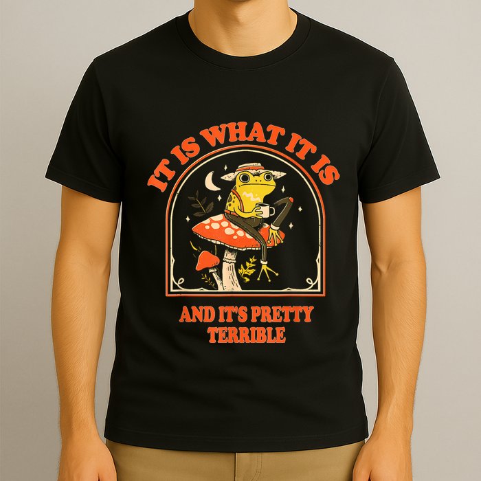 It Is What It Is And ItS Pretty Terrible Funny Design T-Shirt