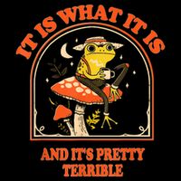 It Is What It Is And ItS Pretty Terrible Funny Design T-Shirt