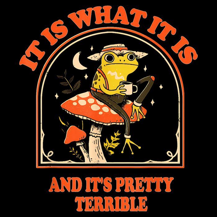 It Is What It Is And ItS Pretty Terrible Funny Design T-Shirt